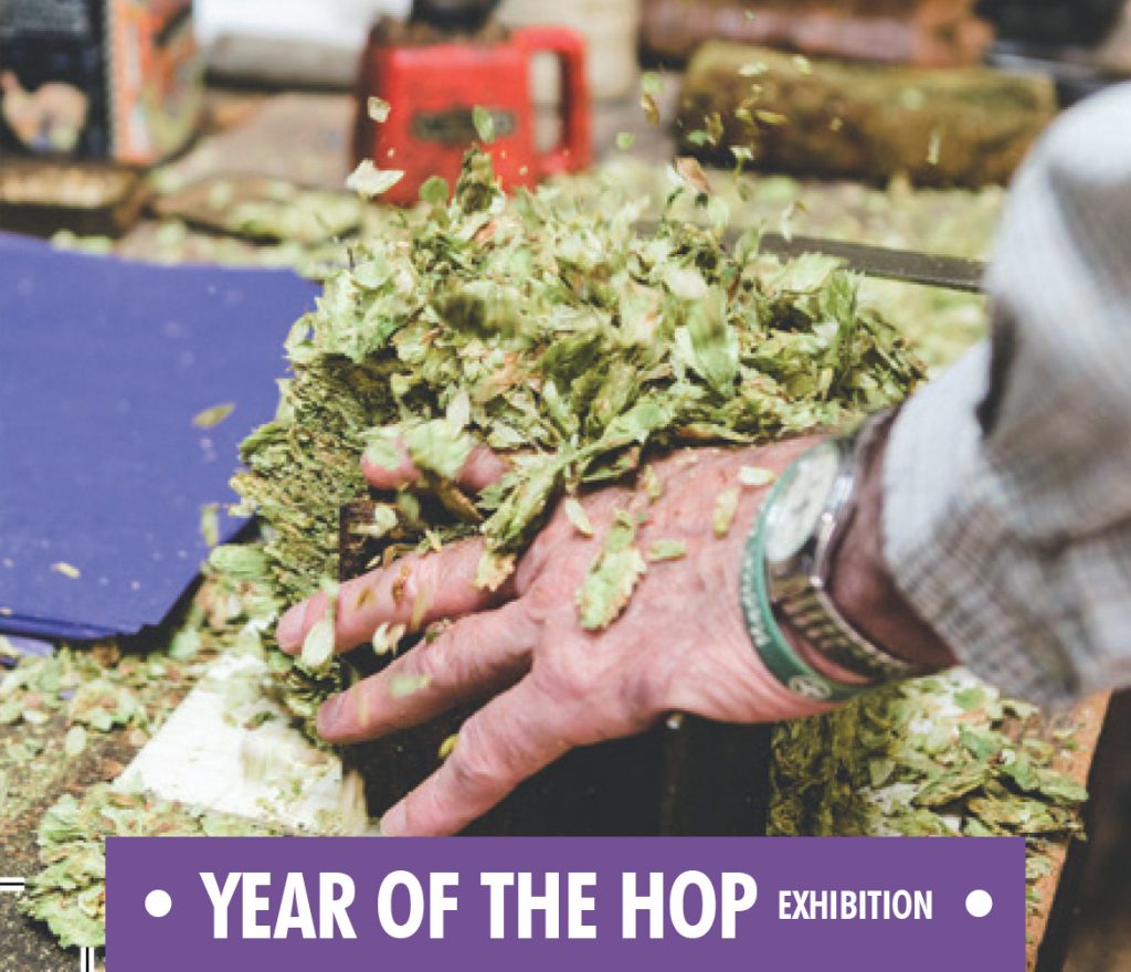 Year of the Hop Exhibition
